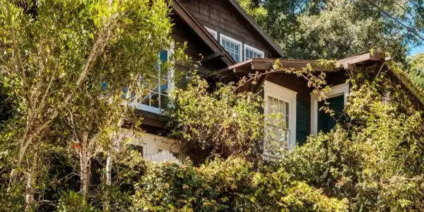 425 Hillside Lane