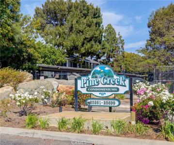 25659 Pine Creek LN