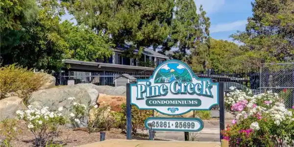 25659 Pine Creek LN