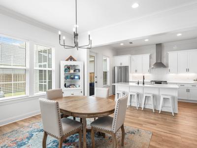 233 Green Heron Street