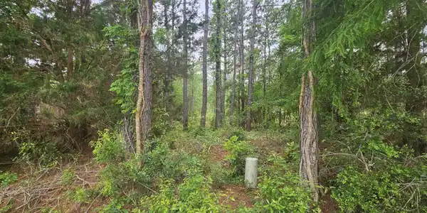 Image 3: 3