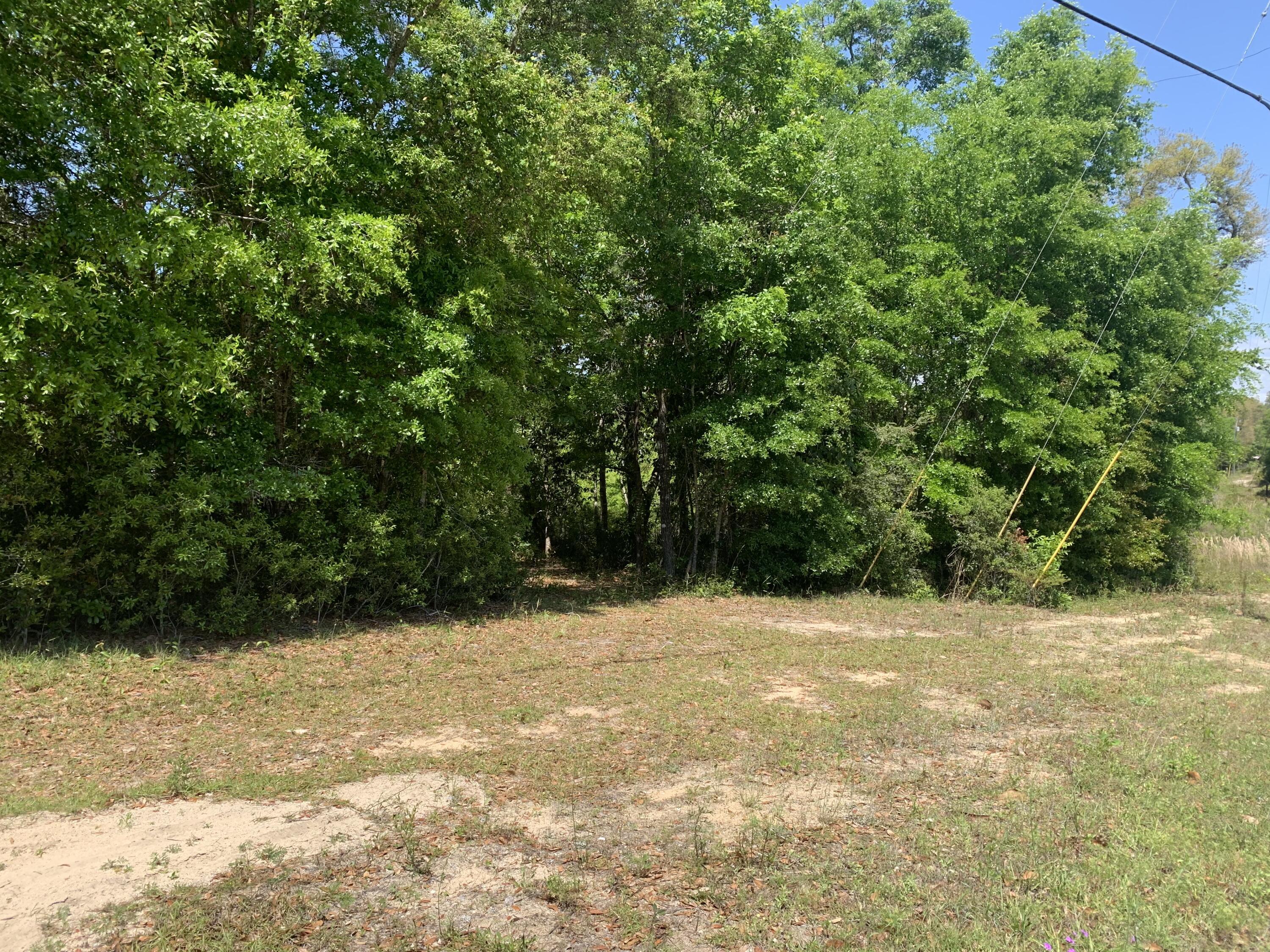 Image 4: 01E32EA3-6D5B-4416-A282-1C4470E1A353