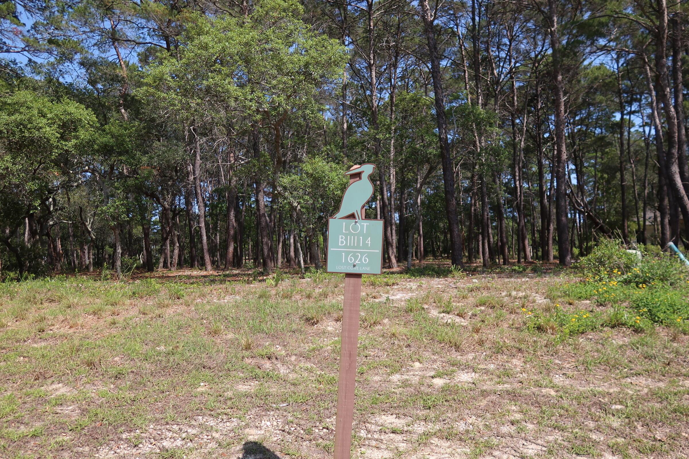 Image 3: IMG_0605