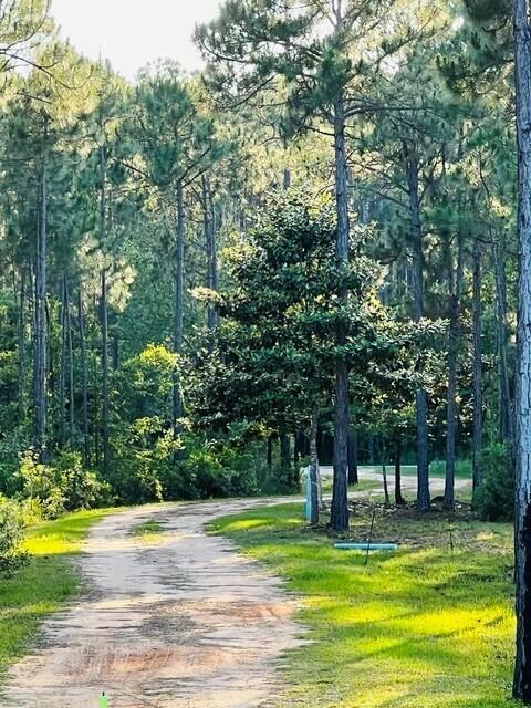 Image 2: Driveway