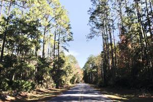 5.6AC Mallet Bayou Drive
