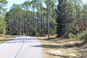 15&16 Mallet Bayou Drive