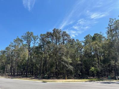 321 Gazelle Court