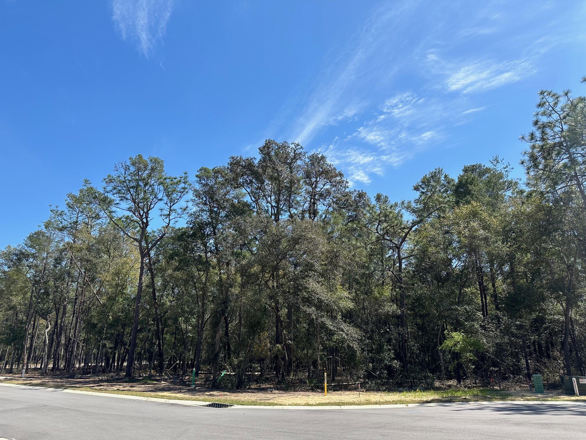 Image 1: 321 Gazelle Ct