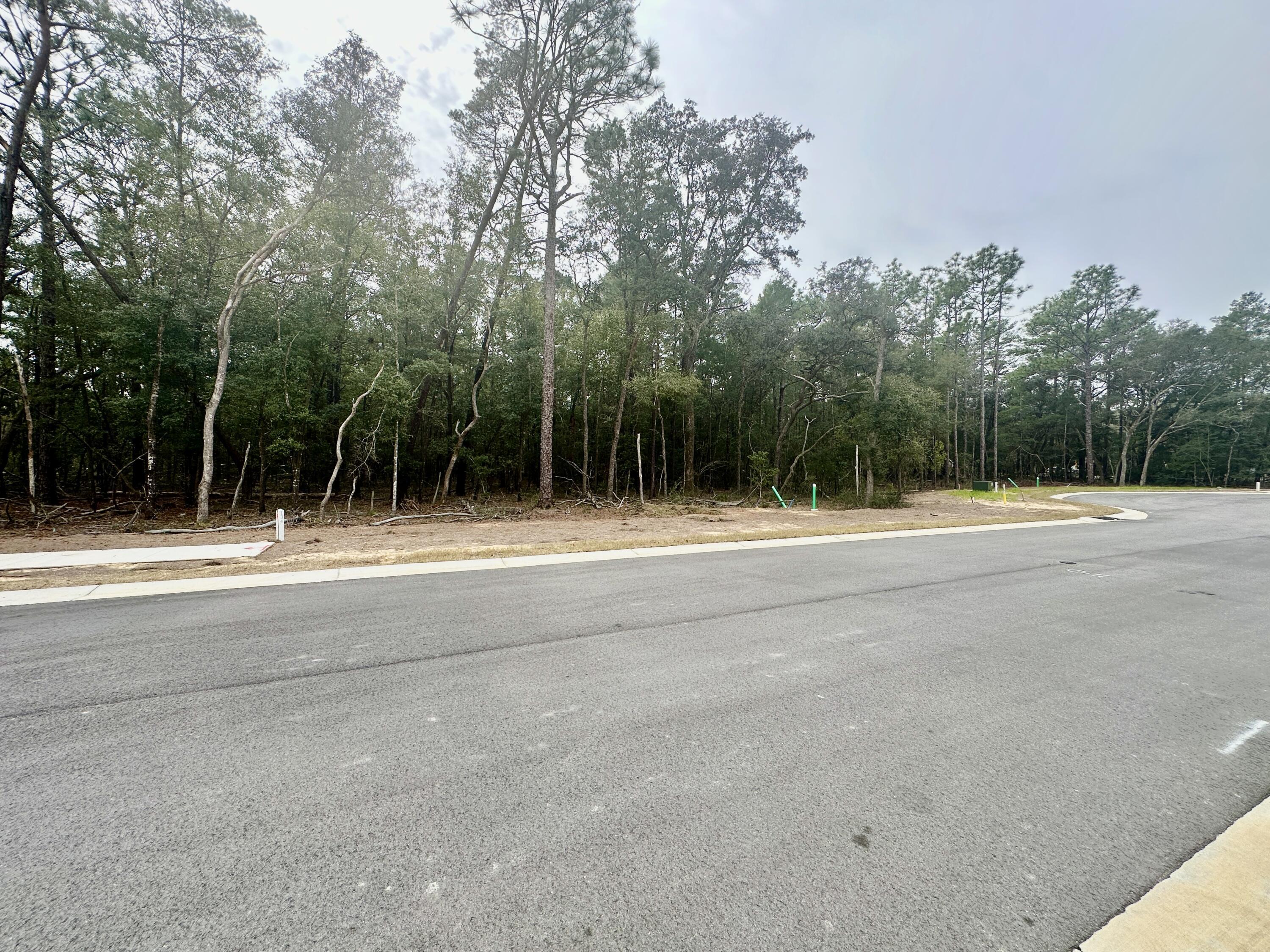 Image 2: 321 Gazelle Ct