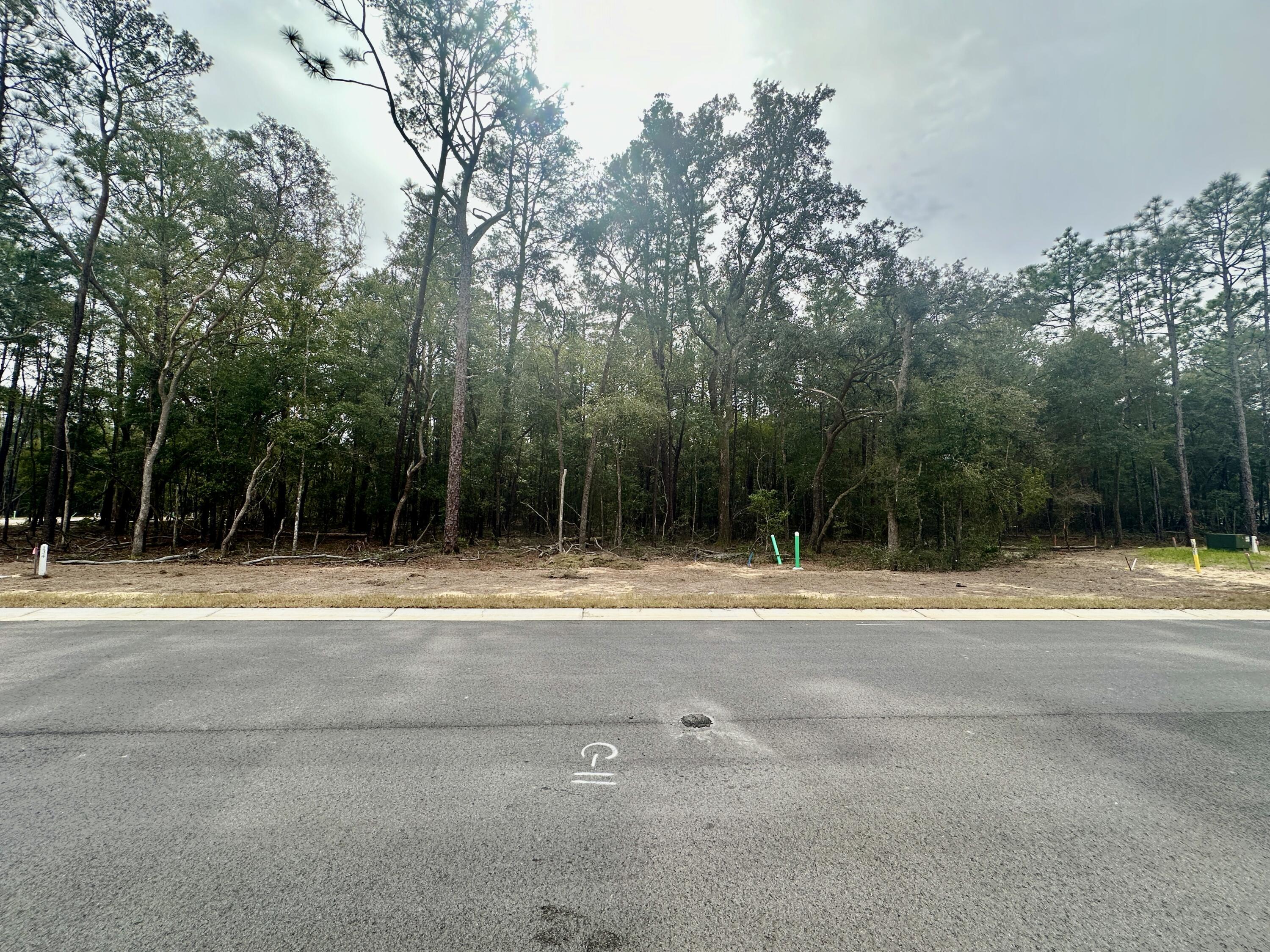 Image 3: Lot 134