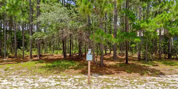 Image 3: 1-web-or-mls-PANHANDLE - 1509 SWEET BAY
