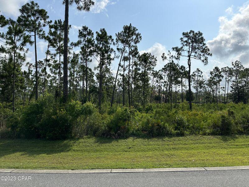 Image 4: Lot from Street 1