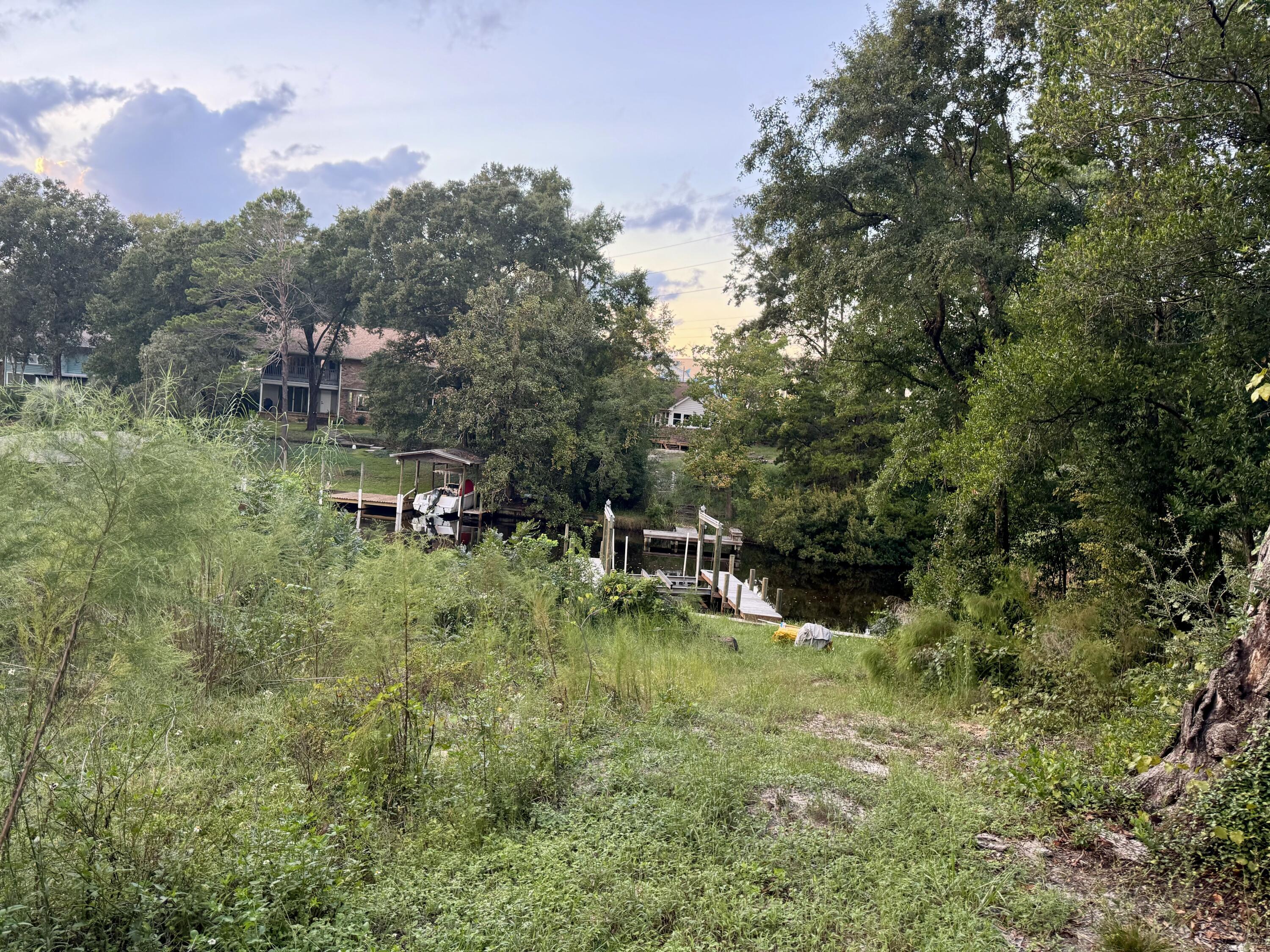 Image 2: IMG_0671