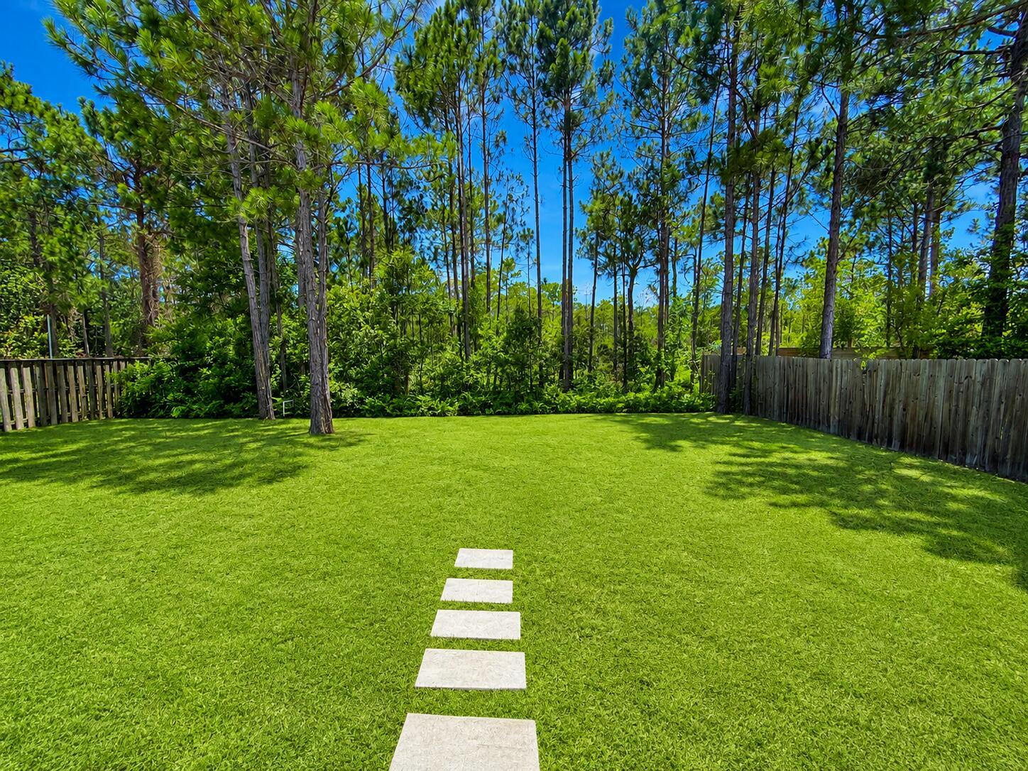 Image 3: Backyard