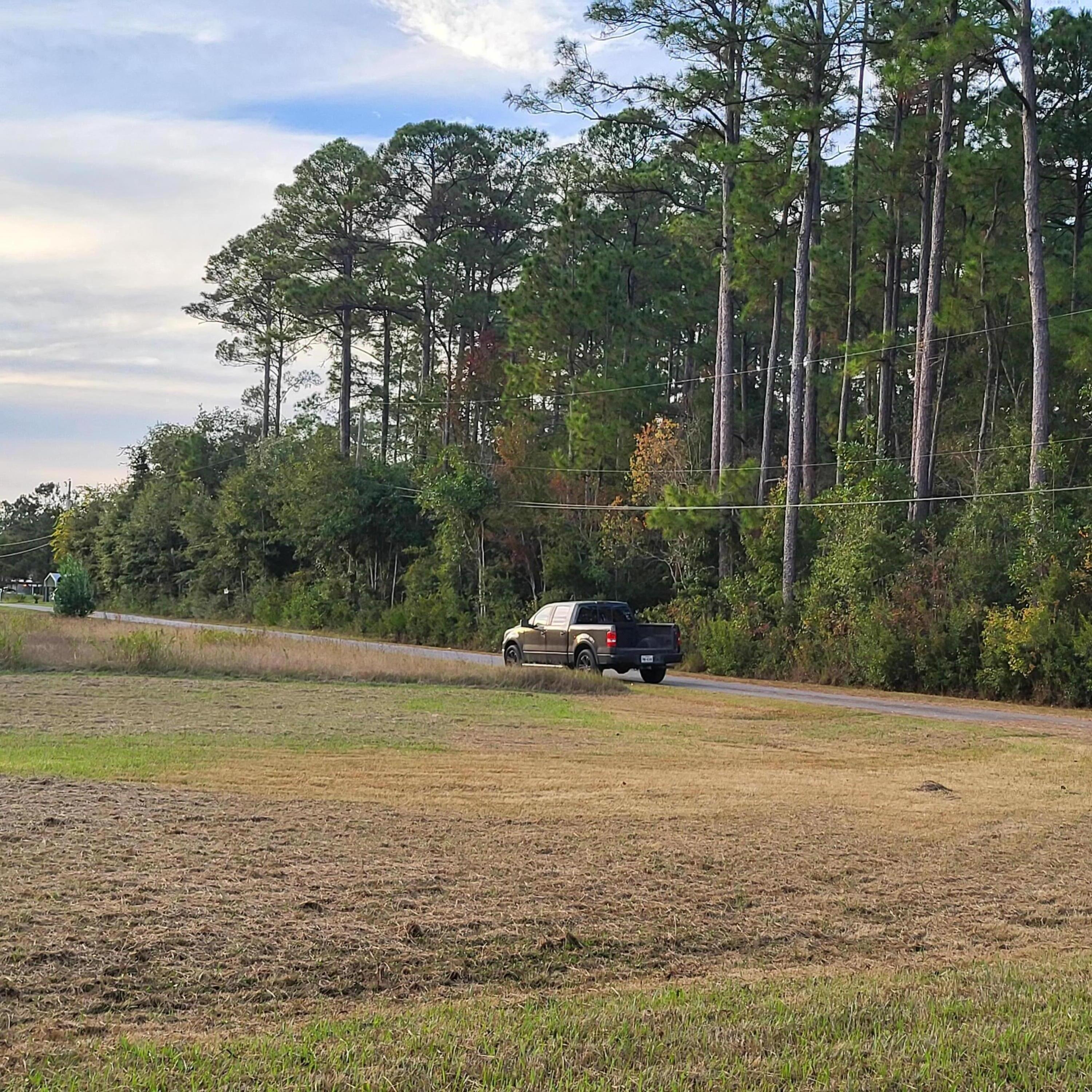 Image 2: Looking in at Lot from across the street