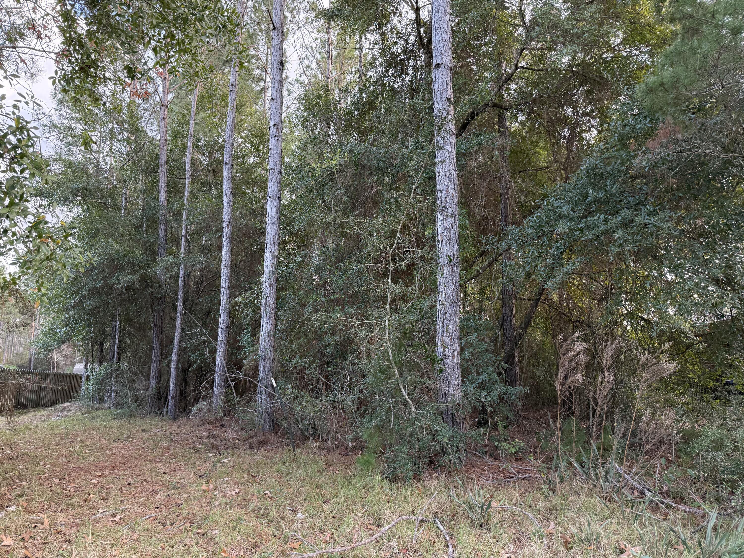 Image 2: Lot 23 Sounds 2