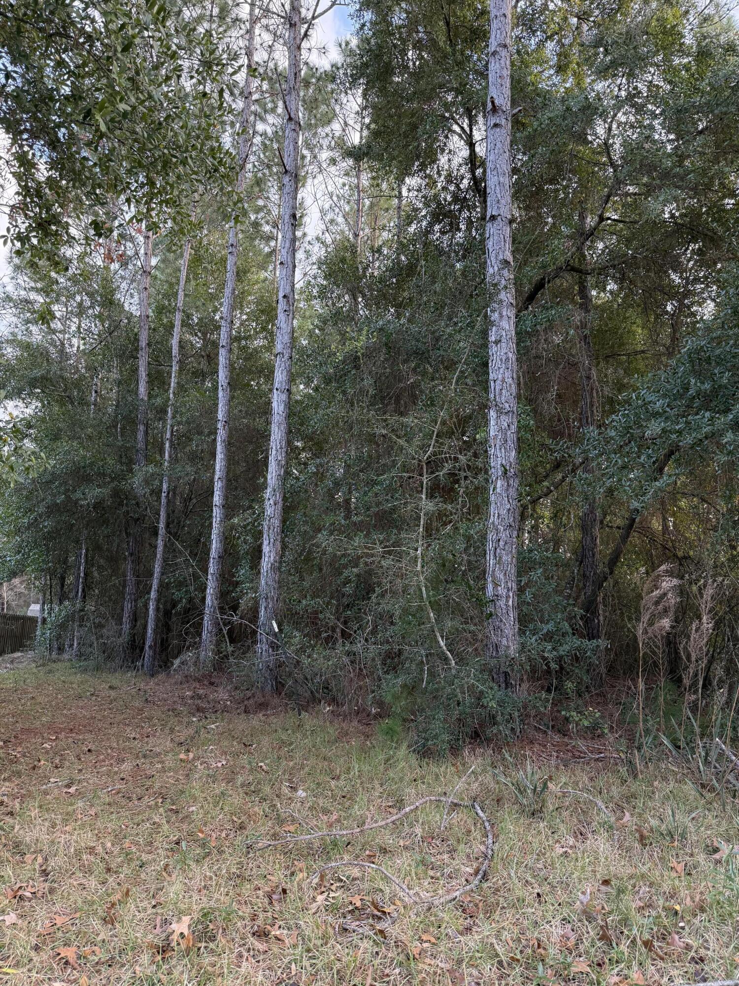 Image 3: Lot 23 Sounds