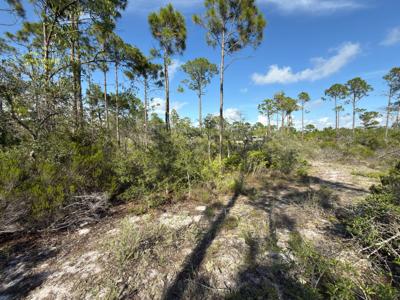 Lot A Adventure Avenue
