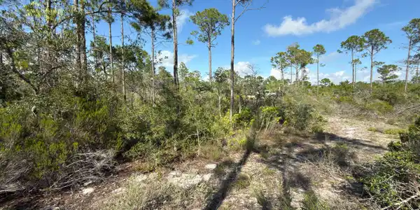 Lot A Adventure Avenue