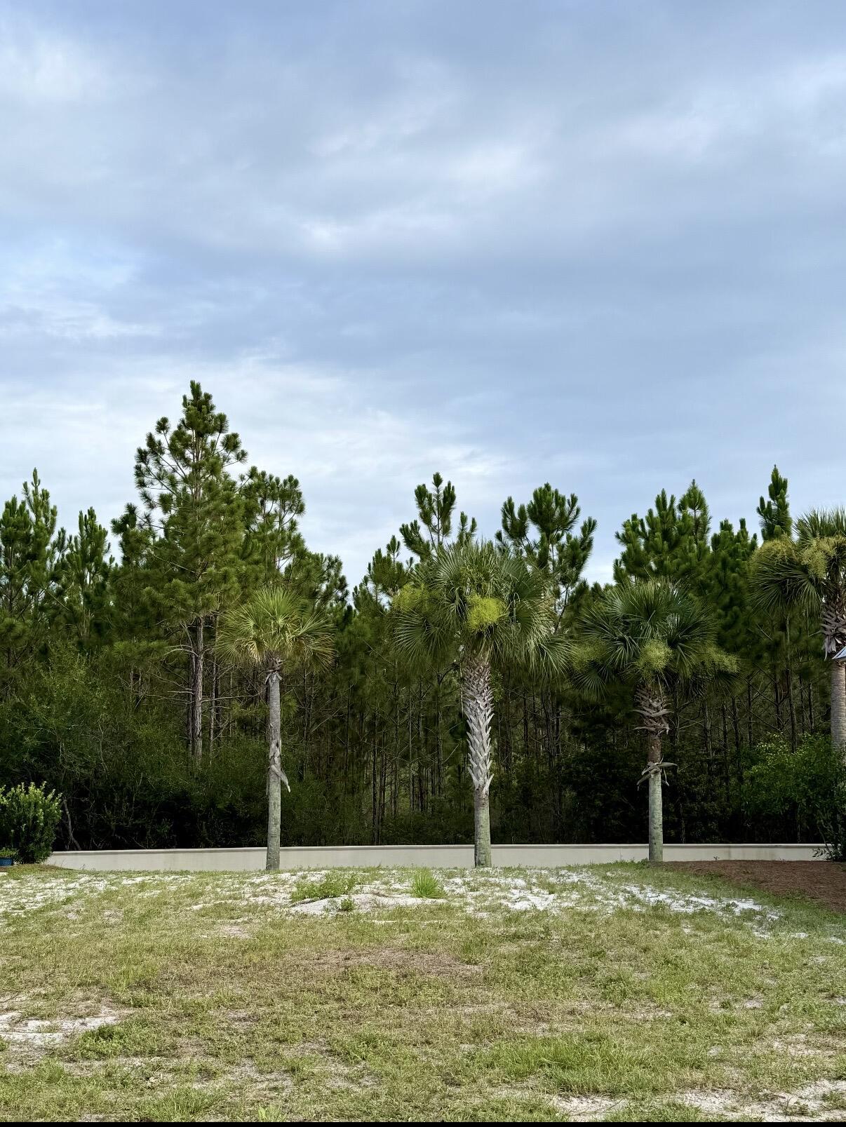 Image 4: Lot 11B Backing to Greenspace