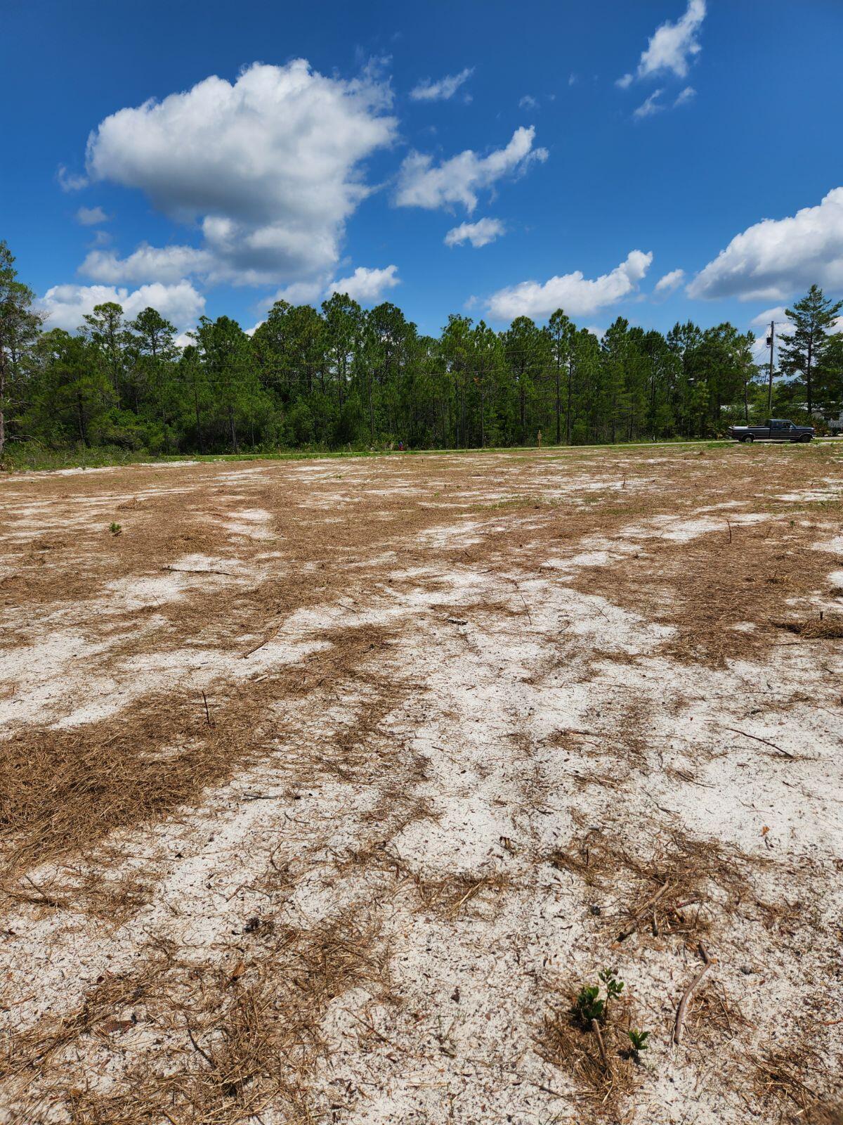 Image 3: Lot Clearing pic 4