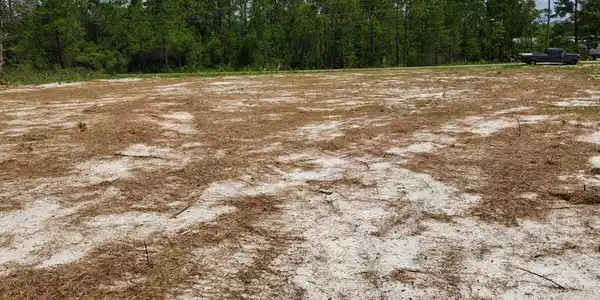 Image 3: Lot Clearing pic 4