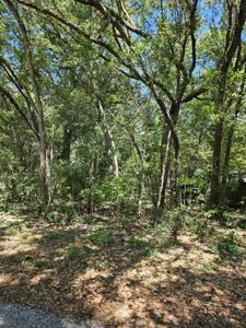 Lot 4 Aspen Street
