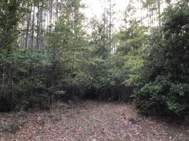 Lot 19 Nicole Road