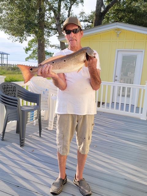 Image 2: fish from the dock