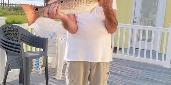 Image 2: fish from the dock