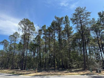 523 Caribou Court