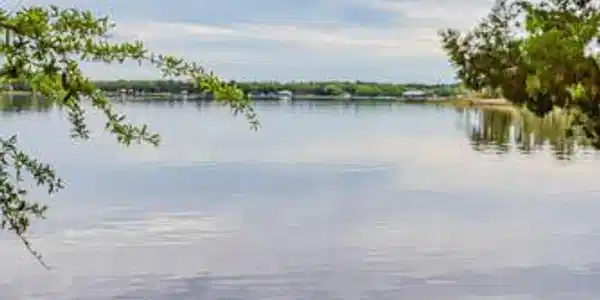 Image 2: Bayou View