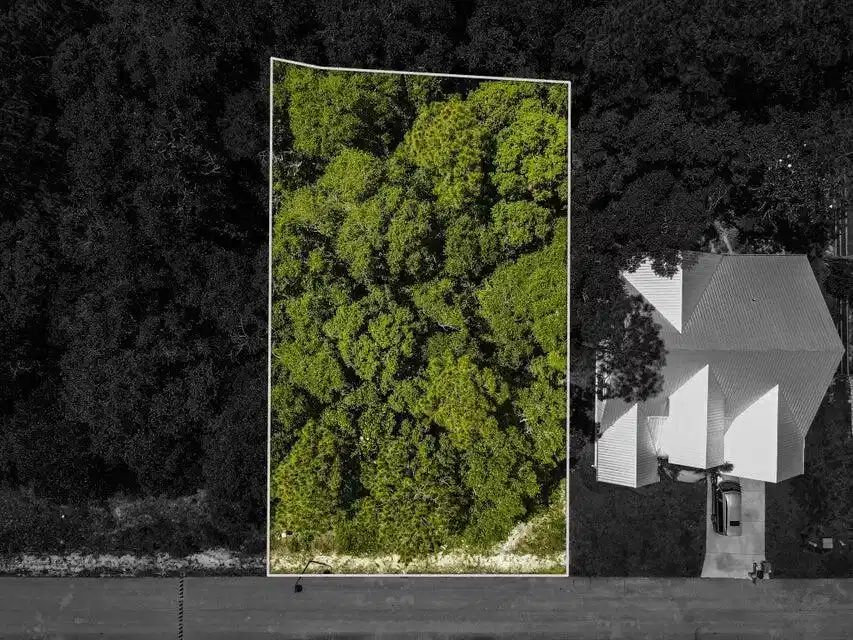 Image 1: Lot 25