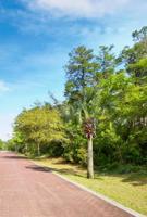 Lot 22 Magnolia Beach Way