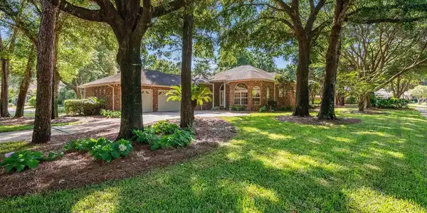 300 Piney Creek Cove