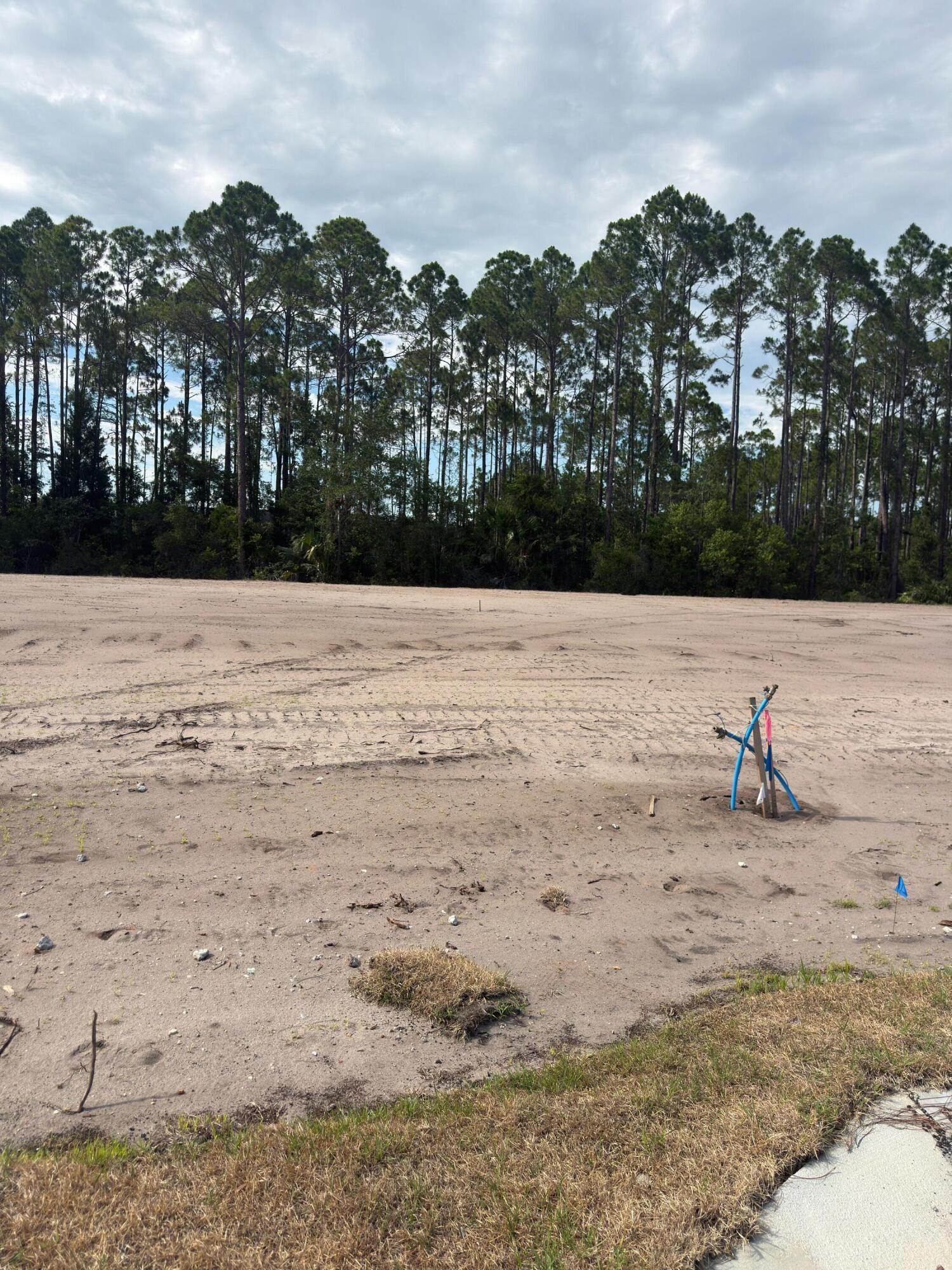 Image 1: Lot 2