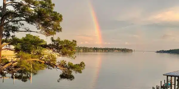 Image 4: Bayou view