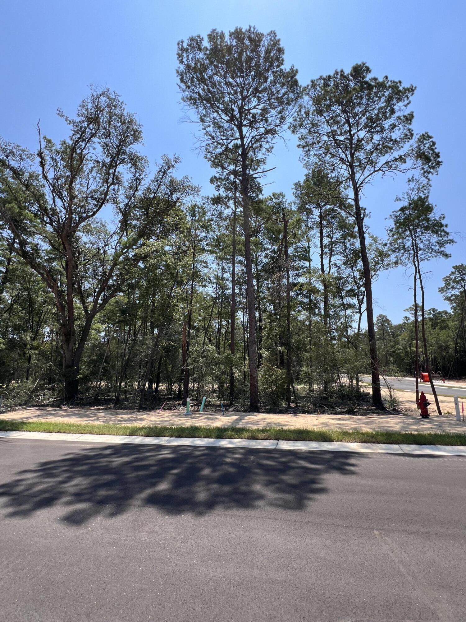 Image 2: 410 Sorrel Way
