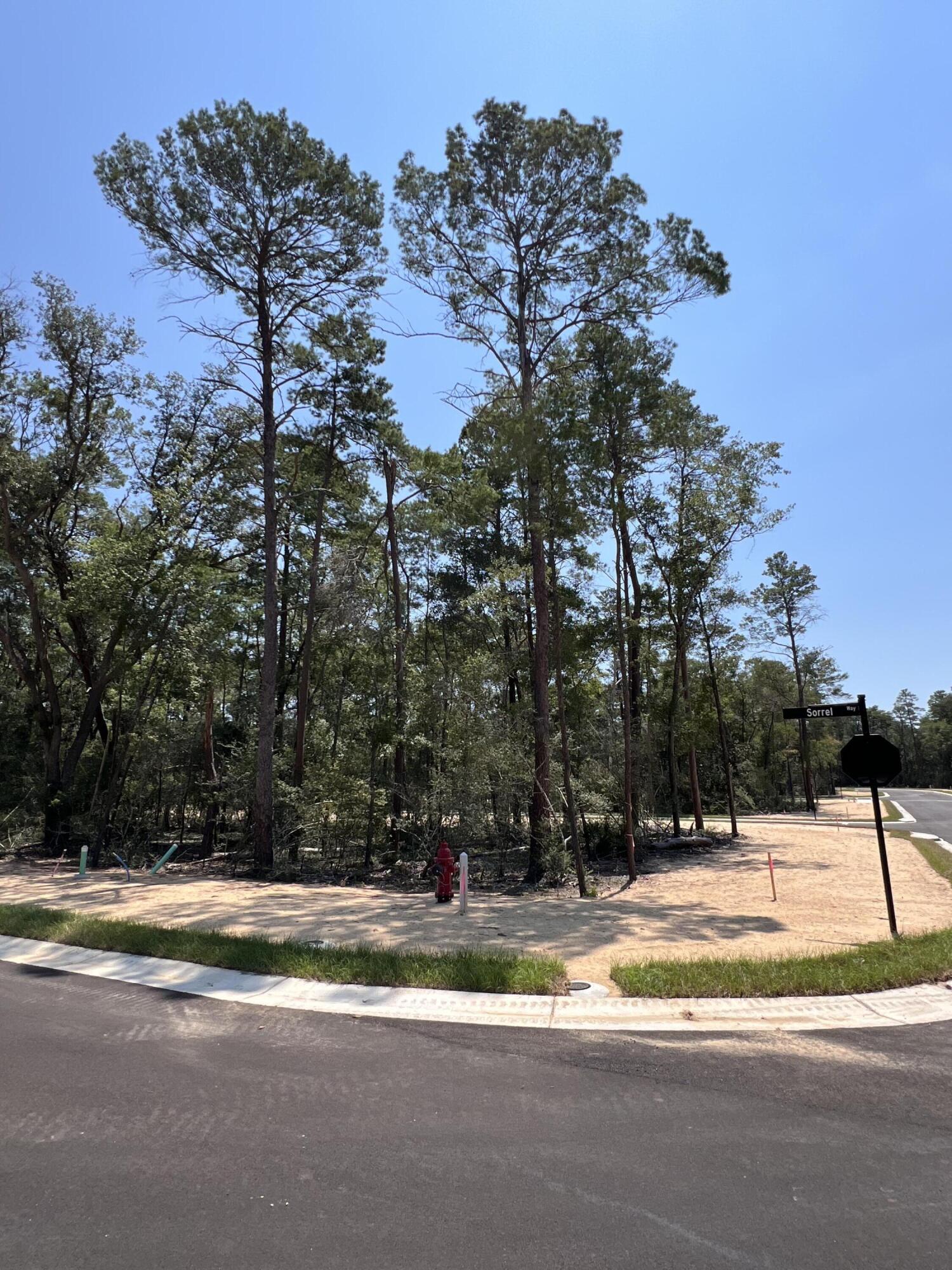 Image 3: 410 Sorrel Way
