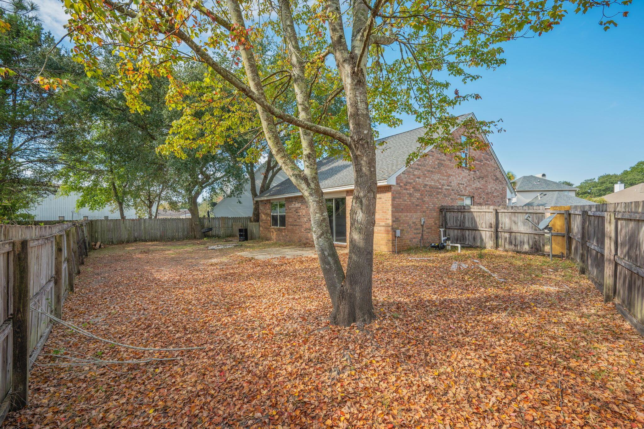 Image 2: Backyard