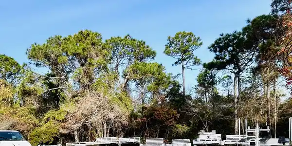 Image 3: Lot showing back area2