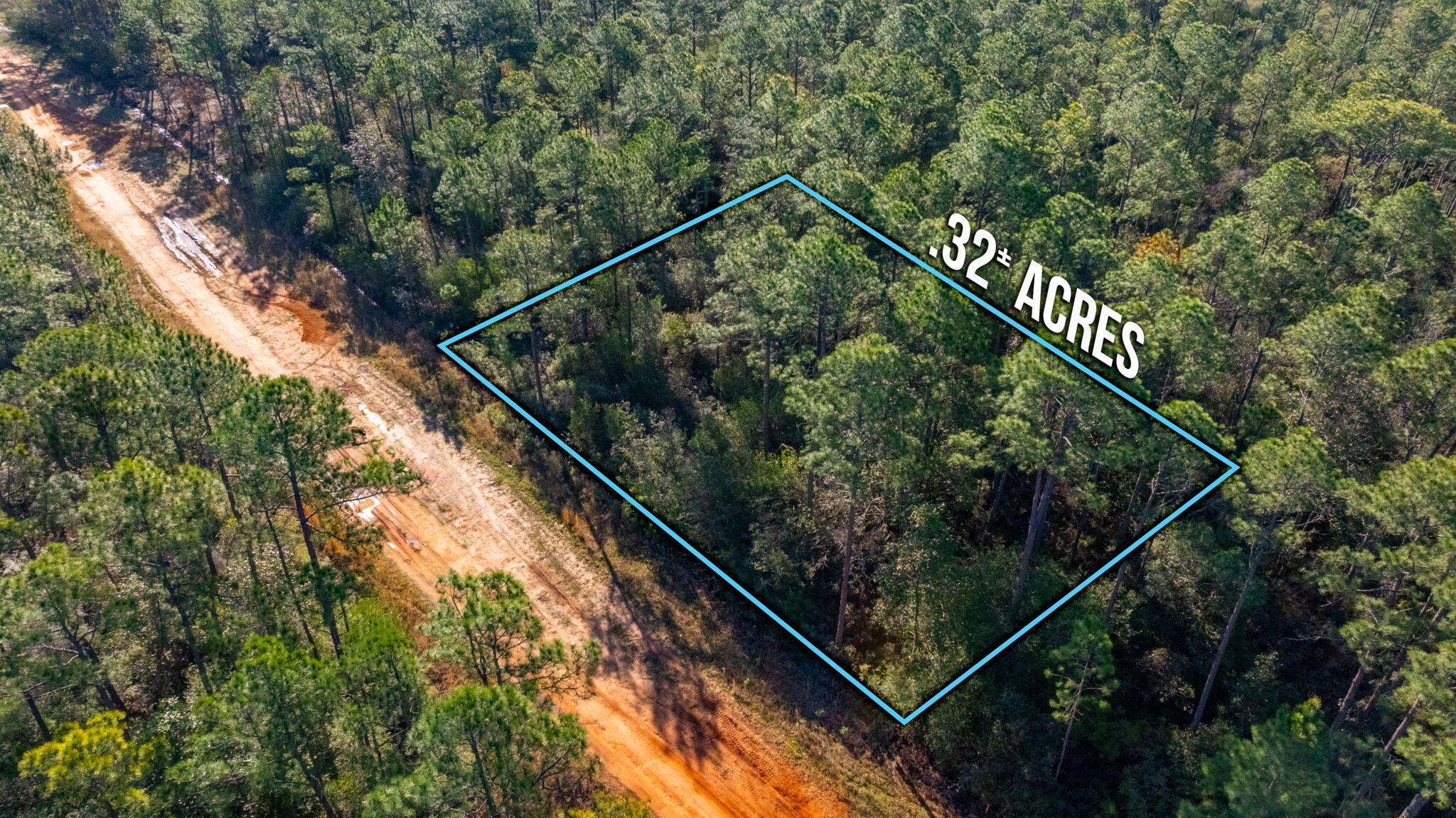 Image 2: .32 ACRES IN AVALON BEACH