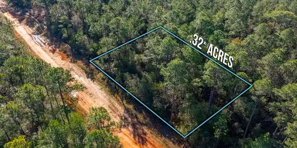 Image 2: .32 ACRES IN AVALON BEACH