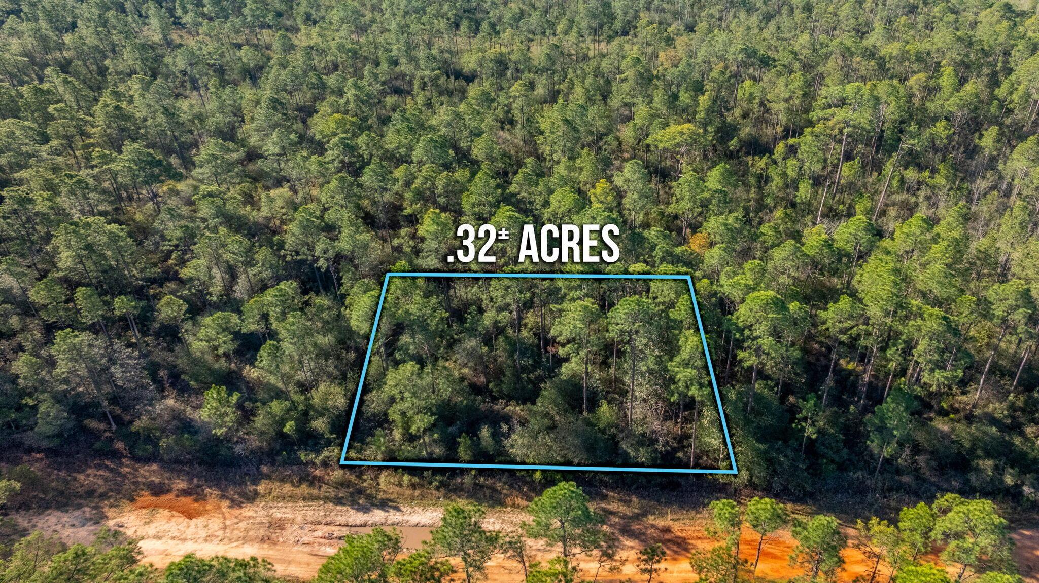 Image 3: .32 ACRES IN AVALON BEACH