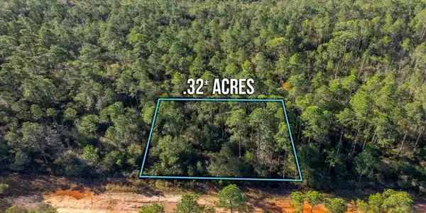 Image 3: .32 ACRES IN AVALON BEACH