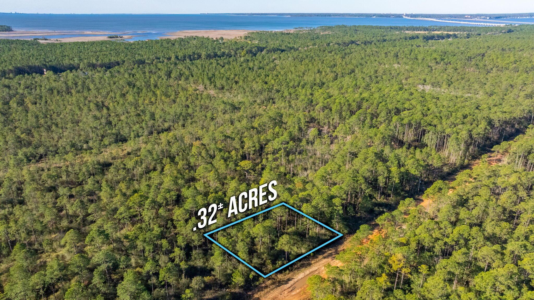Image 4: .32 ACRES IN AVALON BEACH