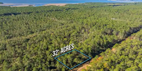 Image 4: .32 ACRES IN AVALON BEACH