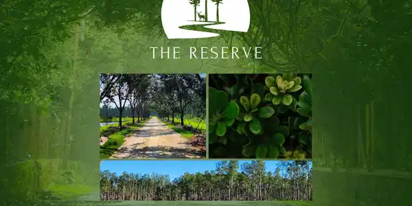 Lot 9 Reserve at Hammock Bay