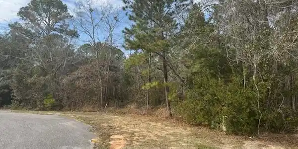 Image 4: Lot 76