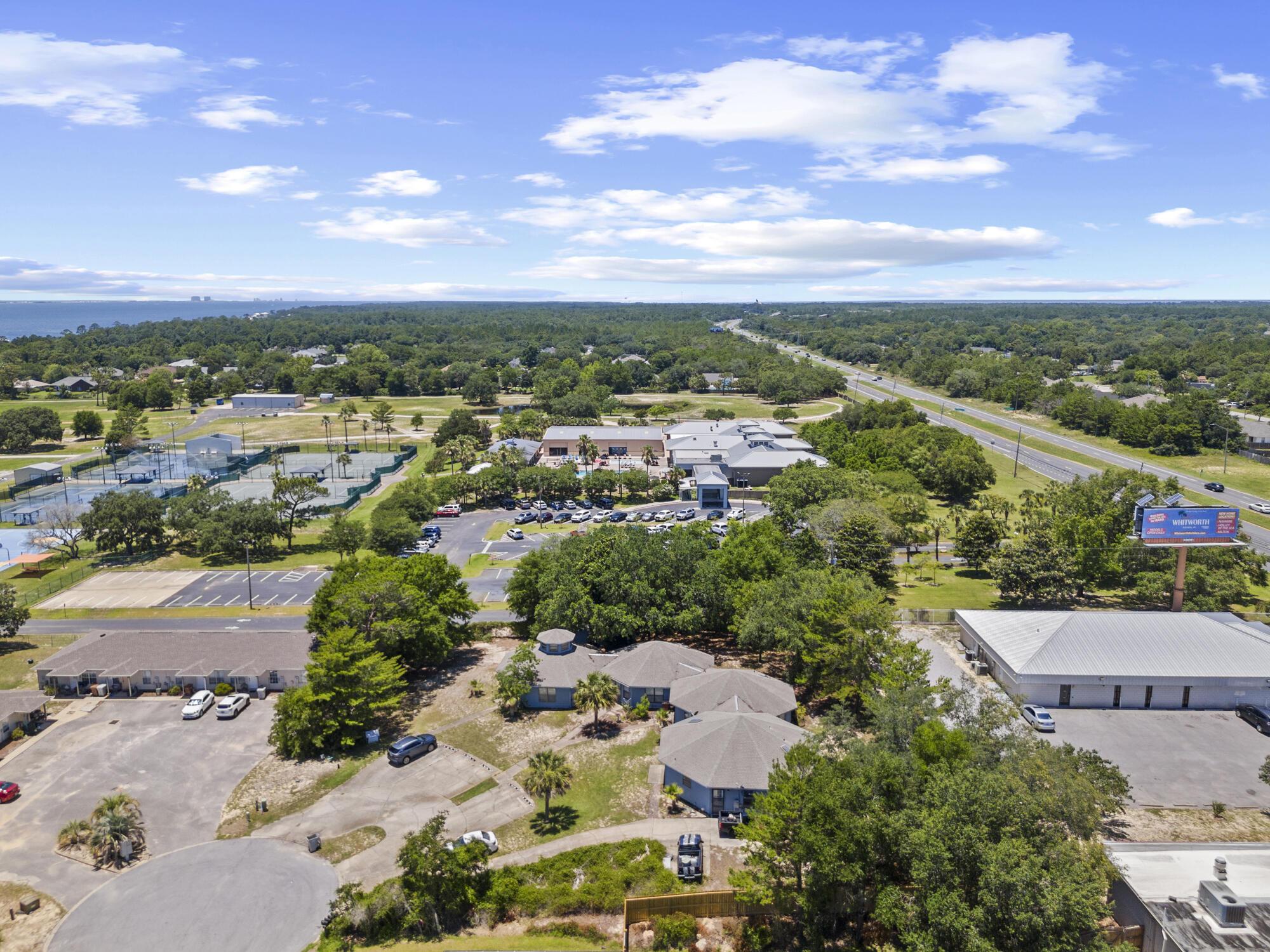 Image 2: 6904 sea turtle cir drone-002